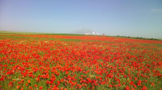 Les Coquelicots En Baie De Somme Villa Saint-Blimont Luaran gambar